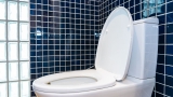 Best Raised Toilet Seats