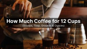 How Many Scoops of Coffee for 12 Cups