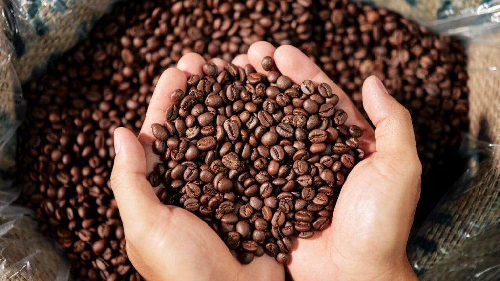 How Long Are Coffee Beans Good for